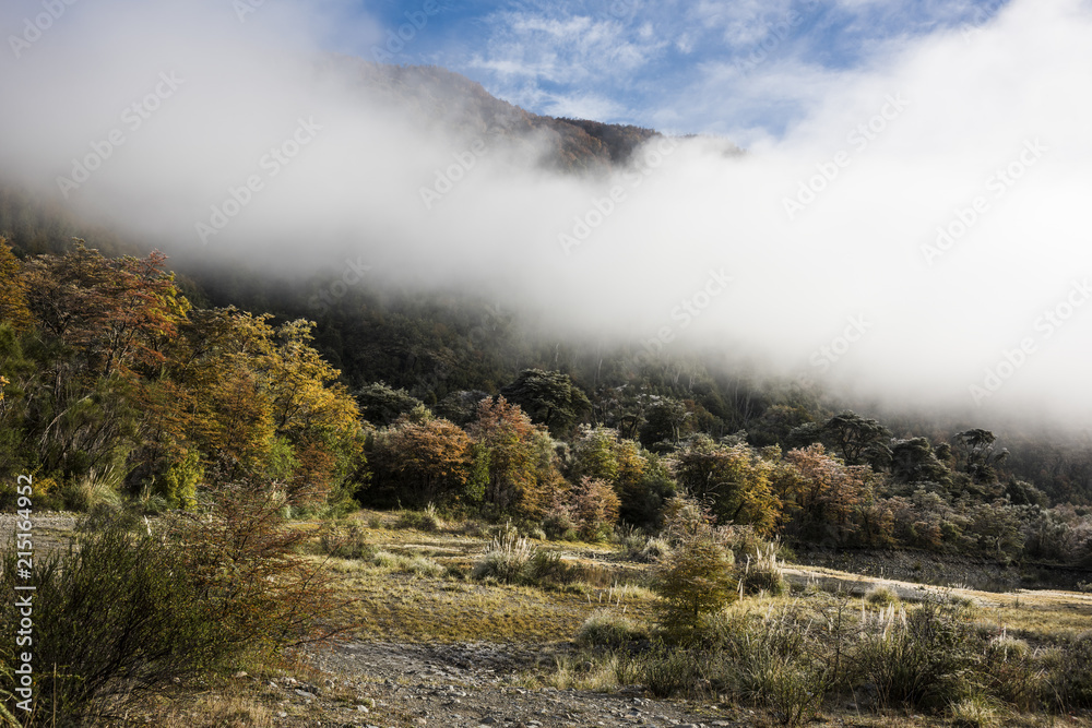 Early morning late autumn in the National Park Los Alerces, Chubut Province, Patagonia, Argentina, in the fall