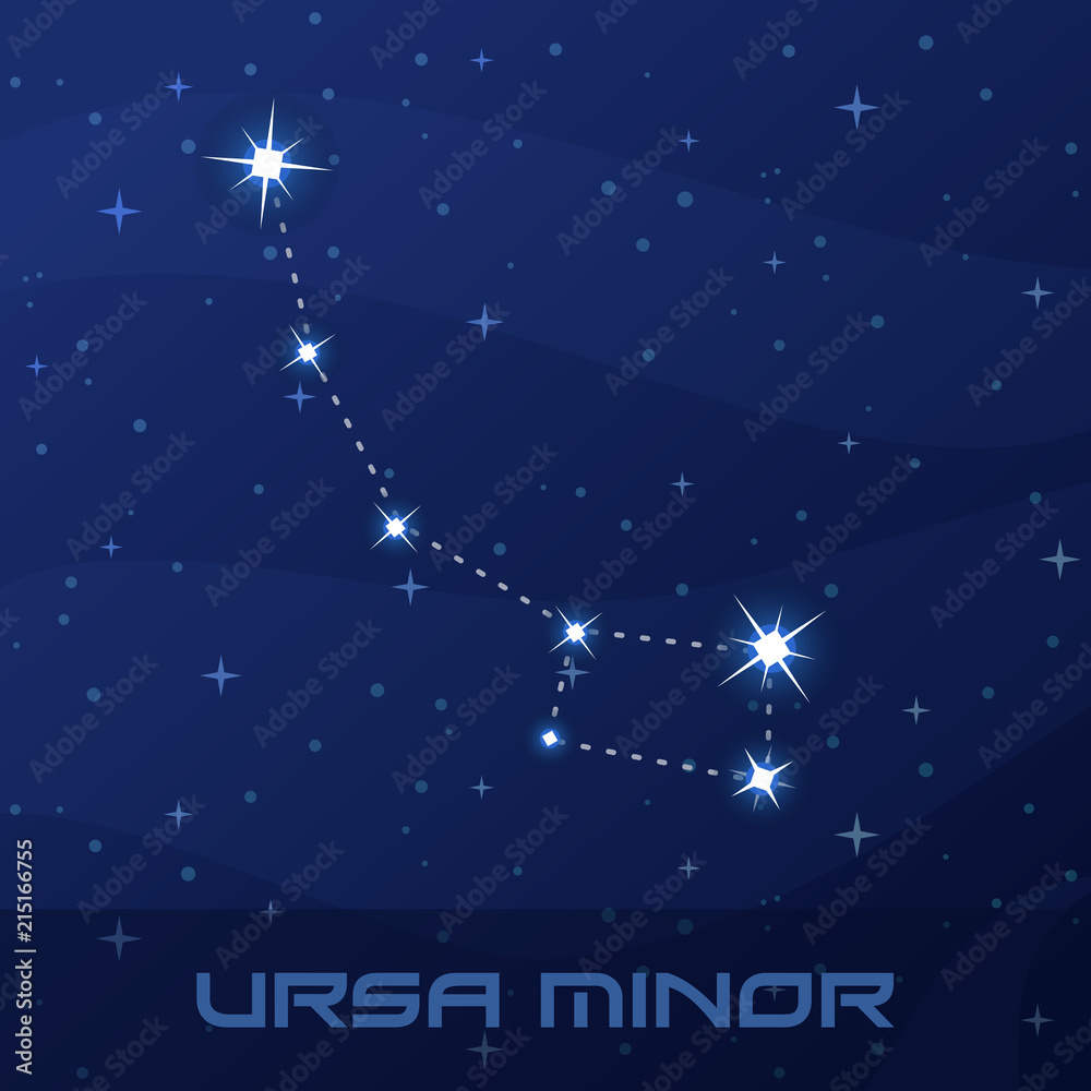 Naklejka premium Constellation Ursa Minor, Little Bear