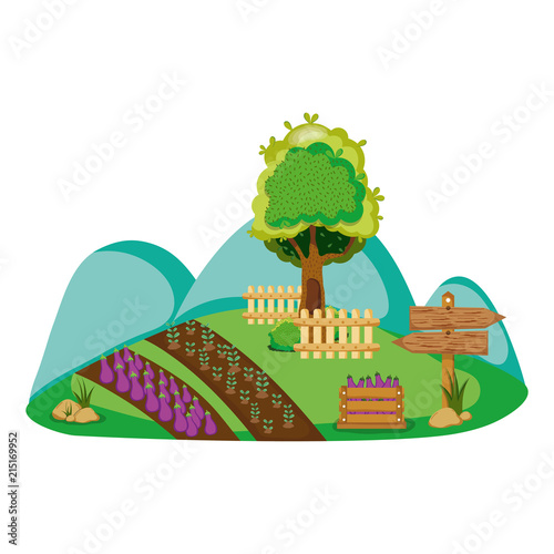 nature farm with organic products and tree