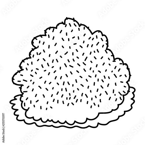 line nature bush plant with exotic leaves