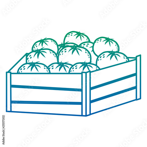 degraded line delicious oranges fruits inside wood box