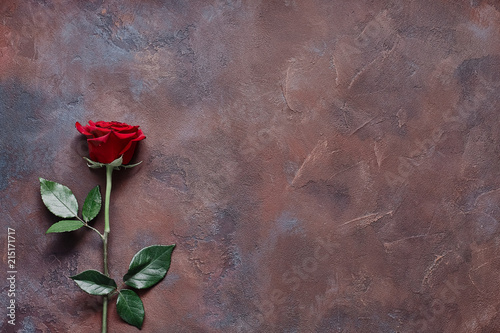 Beautiful flower on a textured colored stone background