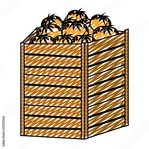 doodle oranges fruits inside big wood box