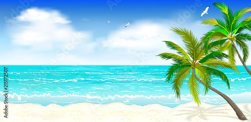 Tropical beach, palm trees 1