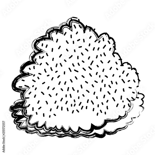 grunge nature bush plant with exotic leaves