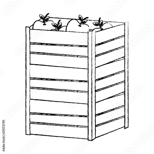 grunge apples fruits inside big wood box