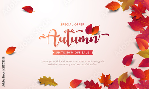 Autumn sale banner layout template decorate with maple and realistic leaves in warm color tone for shopping sale or promotion poster, leaflet and web banner. Vector illustration .