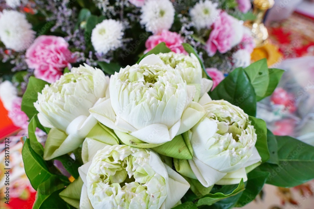 The bouquet of white lotus on blurred of pink carnation and white chrysanthemum as a background, Beautiful fresh blossoming flower as a background, Religion concept, Top view The bouquet of white lotus on blurred of pink carnation and white chrysanthemum as a background, Beautiful fresh blossoming flower as a background, Religion concept, Top view