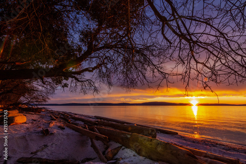 Sunrise on a driftwood beach