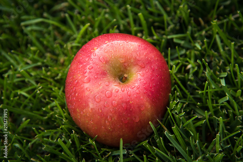 Top view of fuji apple