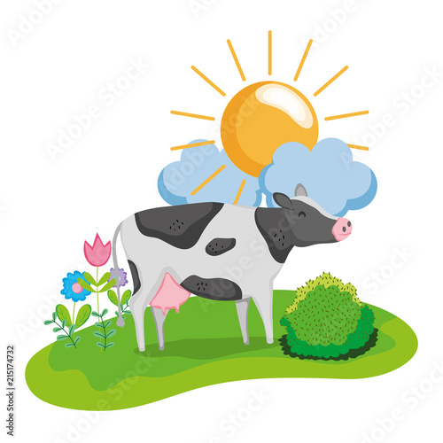 nice cow animal walking farm