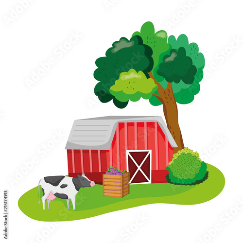 house farm with cow animals and eggplants