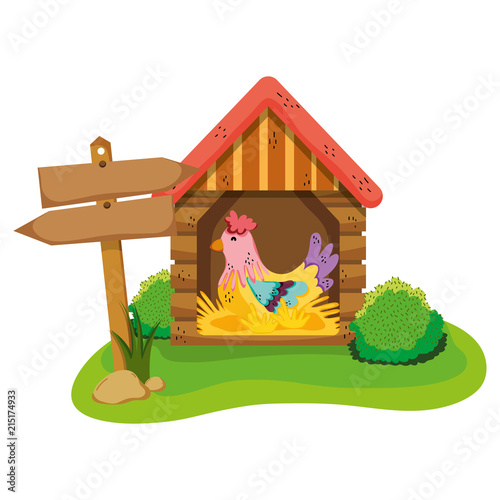 hen farm animal inside house laying