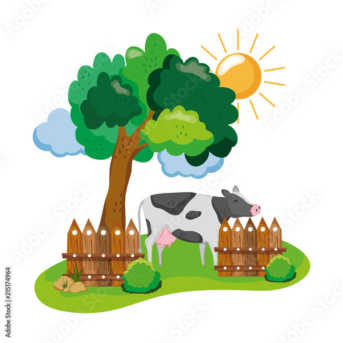 cow farm animal with wood grillage
