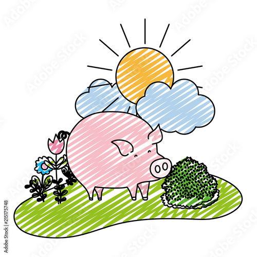 doodle nice pig animal walking farm