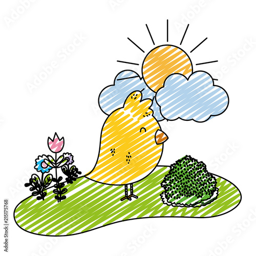 doodle nice chick animal walking farm