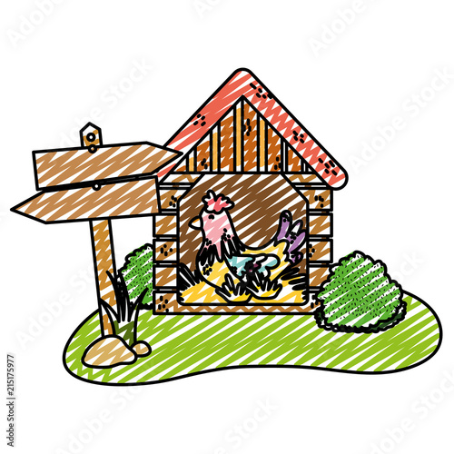 doodle hen farm animal inside house laying