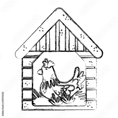 grunge hen inside house laying farm eggs