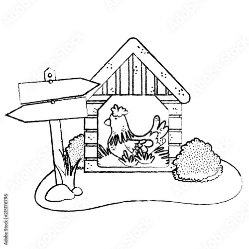 grunge hen farm animal inside house laying