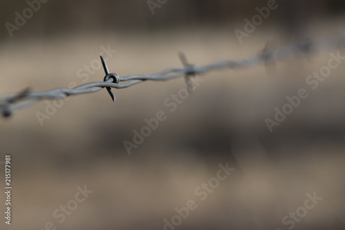 Close-up of barbed wire