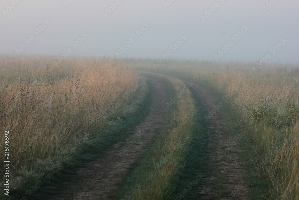 thick fog and the first rays of the sun