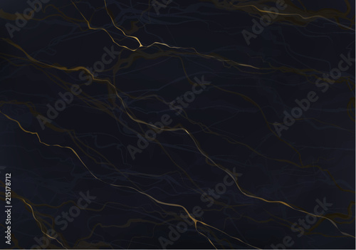 dark Marble and golden line vector art texture background  illustration