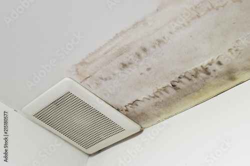  Excessive moisture can cause mold and peeling paint wall ,such as rainwater leaks or water leaks.