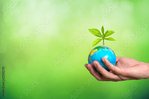 Planting tree on globe in hand , Environment conservation on green background