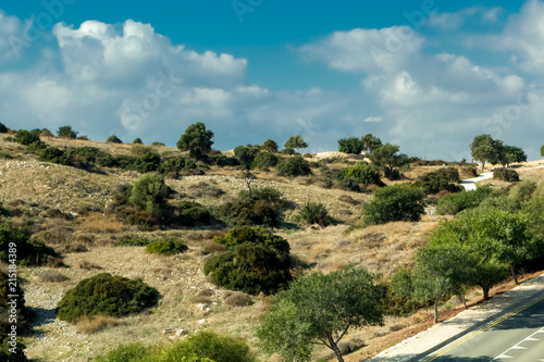 Природа и растительность острова Кипр