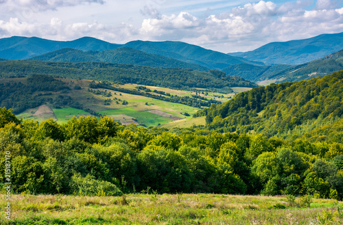 beautiful mountainous countryside. calm and relaxing scene. forested hill and rural fields in the distance