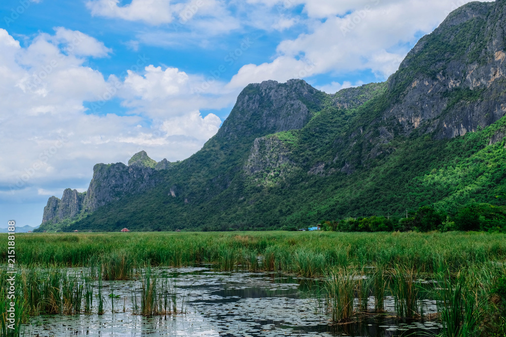Wetlands in Mountain Khao Samroiyod national park, prachubkirikhun Thailand.