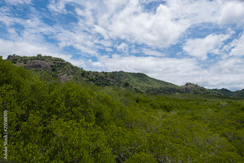 mountrain in Mangrove forest at Pranburi Forest National Park, Prachuap Khiri Khan, Thailand.