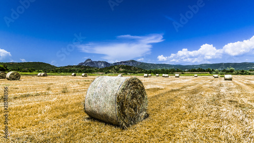 Blue sky above wheat field photo