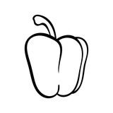 Vector hand drawn illustration of a peper. Outline doodle icon. Food sketch for print, web, mobile and infographics. Isolated on white background element.