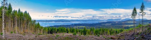 Fototapeta Naklejka Na Ścianę i Meble -  Panoramic view of Ladysmith shoreline from top of a mountain, Vancouver Island, BC, Canada