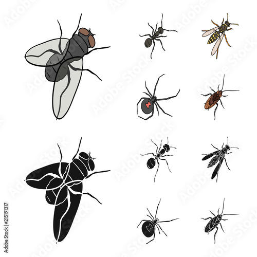 An insect arthropod, an osa, a spider, a cockroach. Insects set collection icons in cartoon,black style vector symbol stock isometric illustration web.