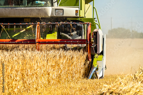 Combine harvester reaping wheat