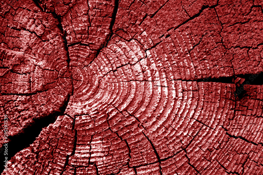 Old log cut macro in red tone.