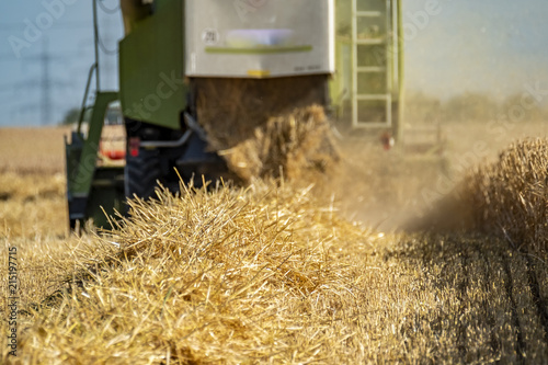 Combine harvester reaping wheat