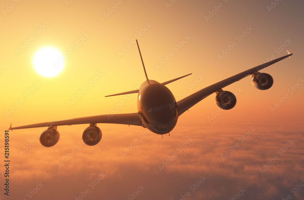 Fototapeta Passenger plane