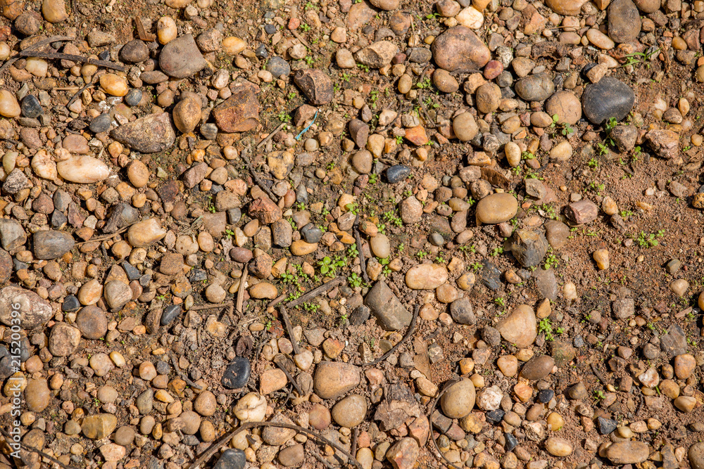 Gravel in the summer Gravel in the summer