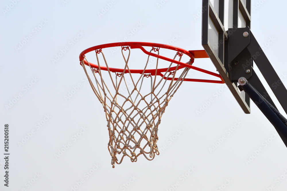 The Basketball Net with Backboard