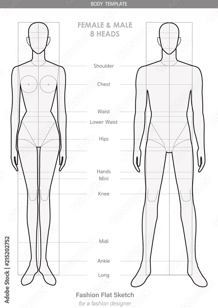 Body template Fashion FLAT SKETCHES technical drawings FEMALE & MALE 8  HEADS Stock Vector