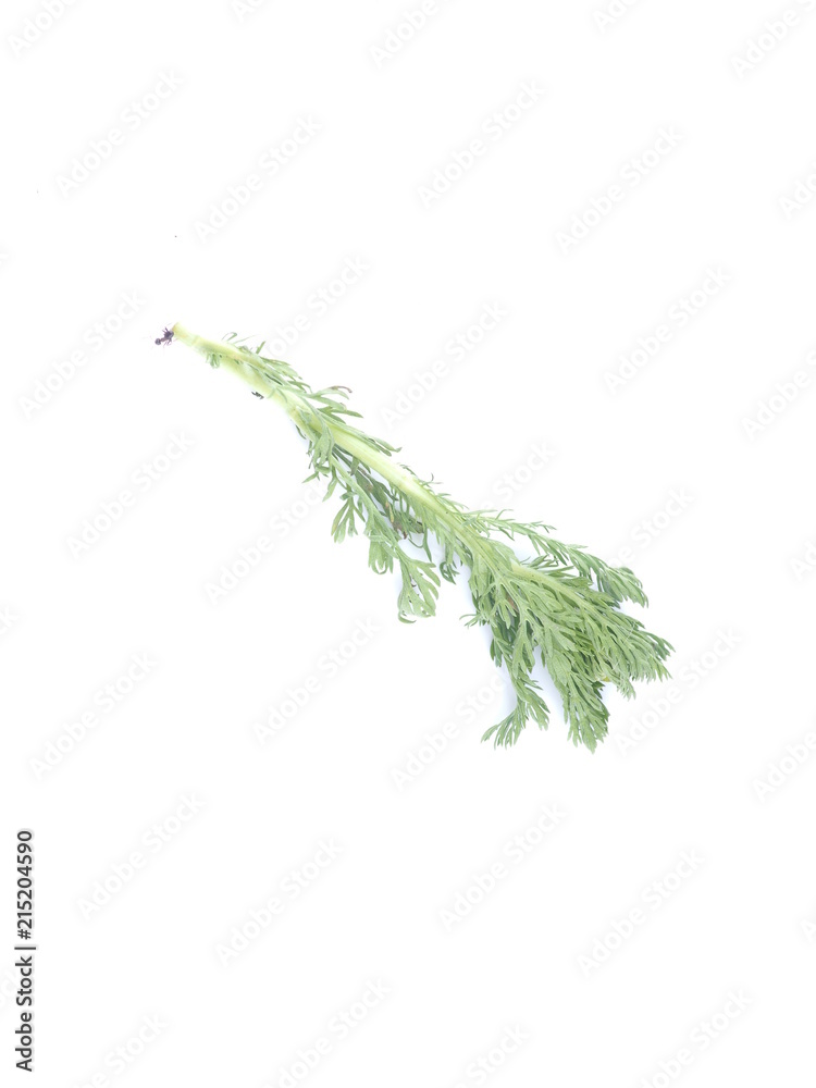 Fototapeta premium chamomile medicine on a white background