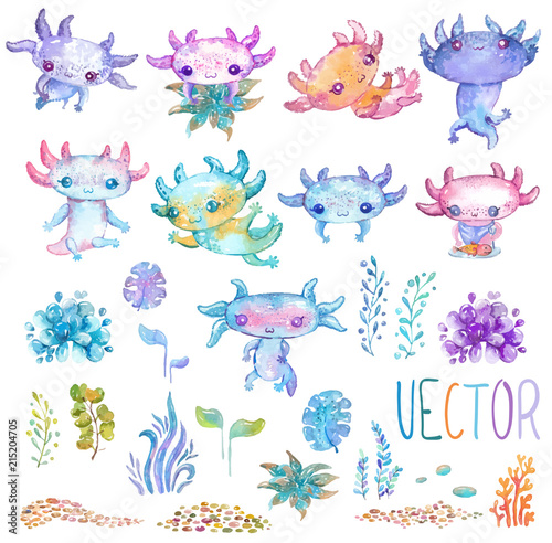Cote watercolor vector axolotl set