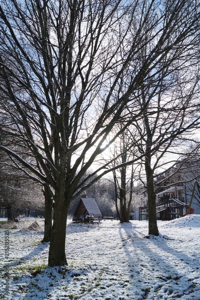 Fototapeta premium Winter