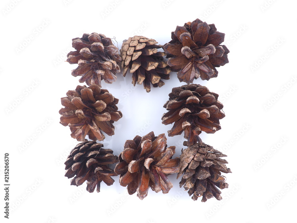 pine cones on white background pine cones on white background