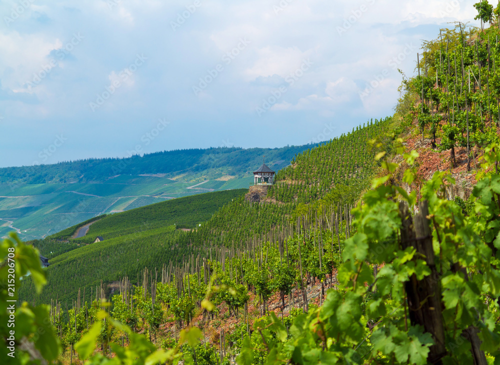 Naklejka premium blick in die weinberge von bernkastel-kues an der Mosel