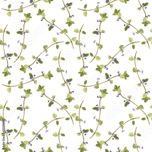 Seamless pattern with flowers of ground-ivy