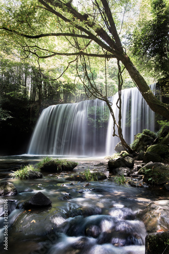 Fototapeta Naklejka Na Ścianę i Meble -  Japanese beauty -Cascade-